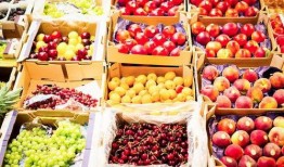 水果台最新爆料