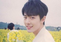 最新娱乐爆料杨紫肖战,甜蜜互动引粉丝热议